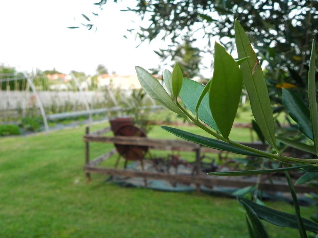 Agriturismo 30 Moniga del Garda Kültér fotó